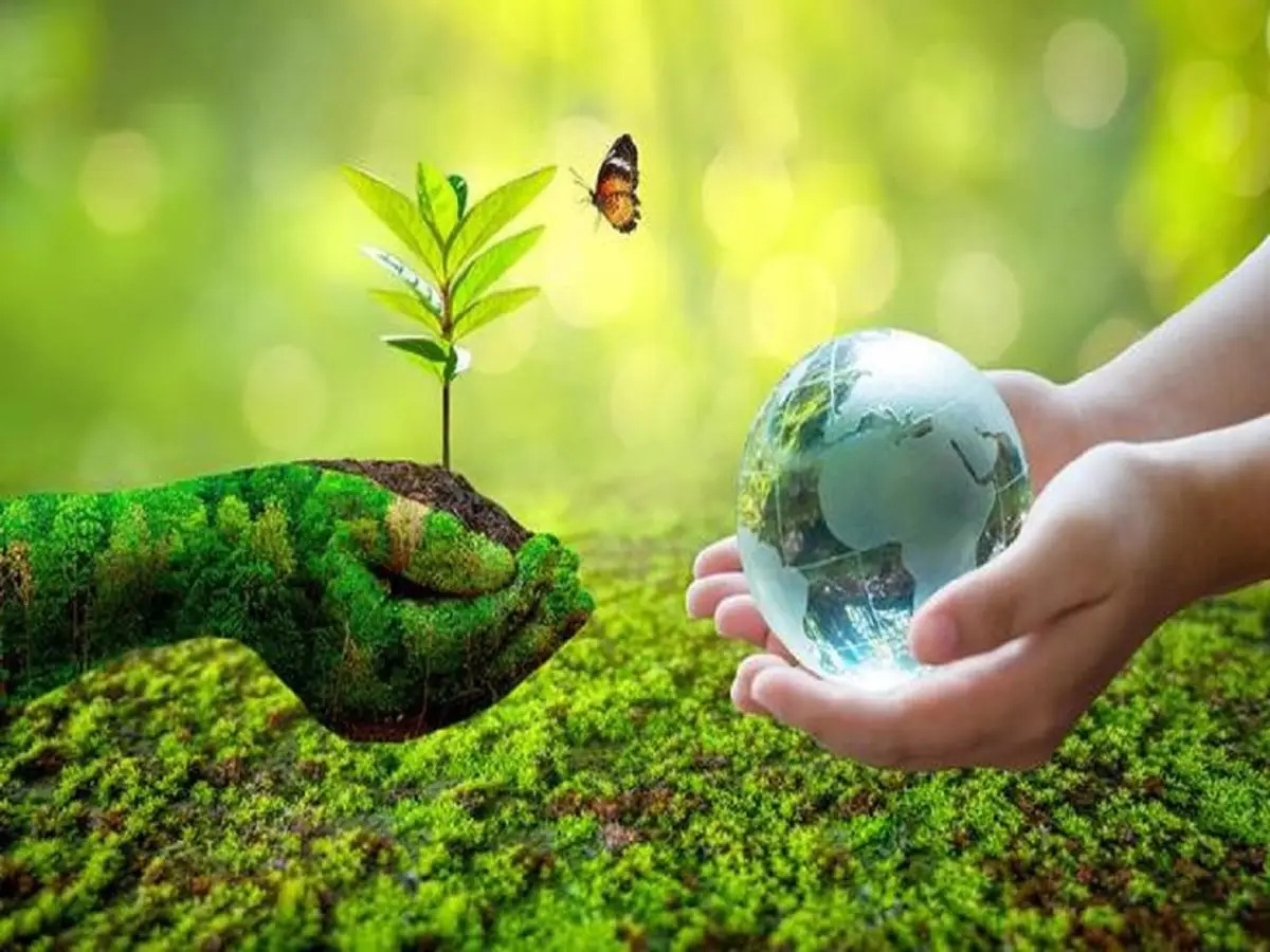 Eco-Friendly Packaging: Masa Depan Bisnis yang Berkelanjutan dan Bertanggung Jawab