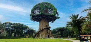 Sensasi Liburan Alam di Enchanting Valley Cisarua