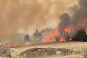 Dukungan Internasional Atasi Kebakaran Hutan Israel