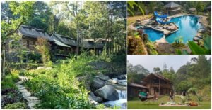 Menjelajahi Aroma dan Rasa: Petualangan Wisata Kopi di Bandung yang Memikat Hati