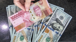 Pekan Terakhir November Dividen Mengalir